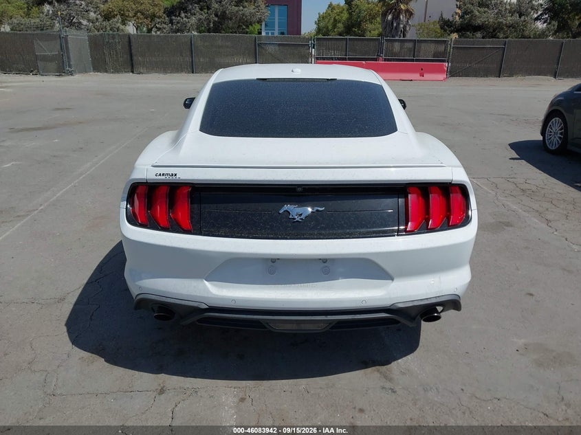 FORD MUSTANG - zdjęcie 16