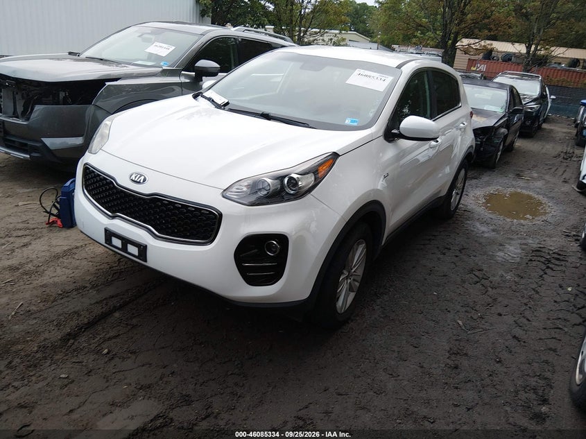 KIA SPORTAGE 2019 VIN KNDPMCAC7K7568981