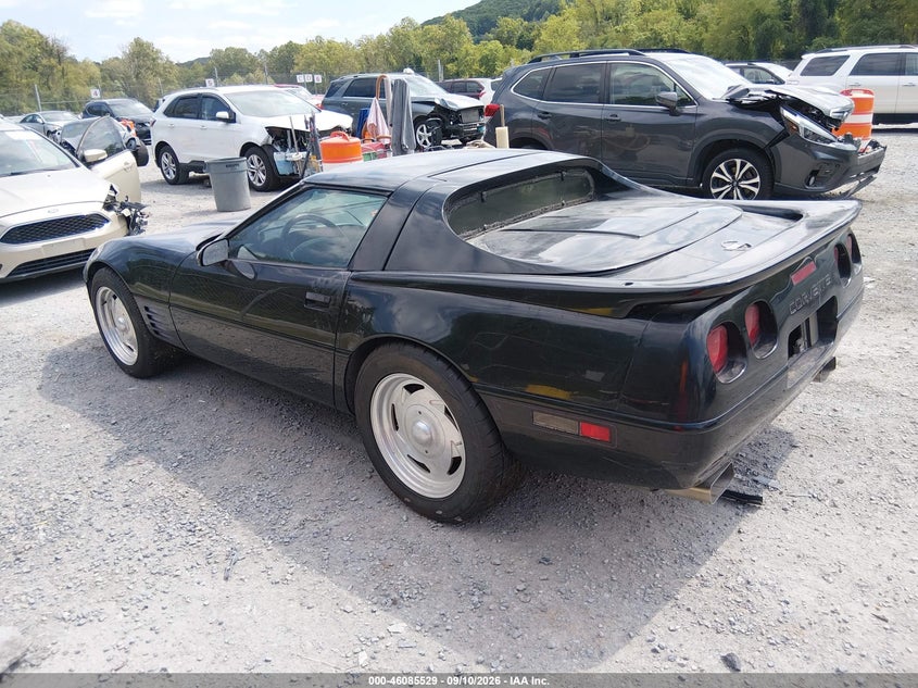 CHEVROLET CORVETTE 1992 VIN 1G1YY23P5N5118175