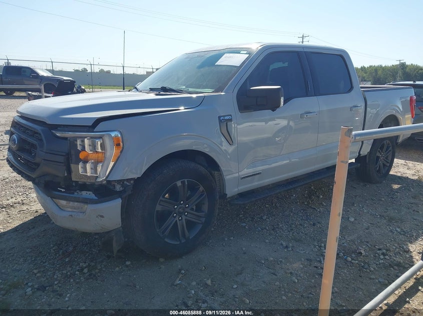 Vin: 1ftfw1ed3pfd09852, lot: 46585495, ford f-150 xlt 20232