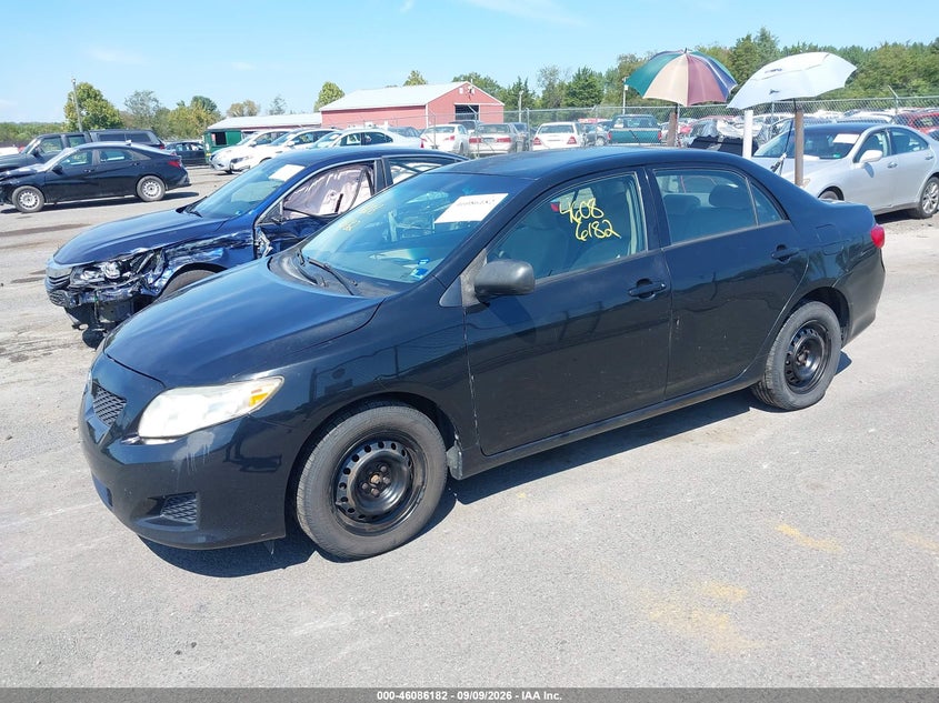 2010 Toyota Corolla, Normal Wear & Tear, IAAI, VIN 2T1BU4EE0AC318538 — photo 2