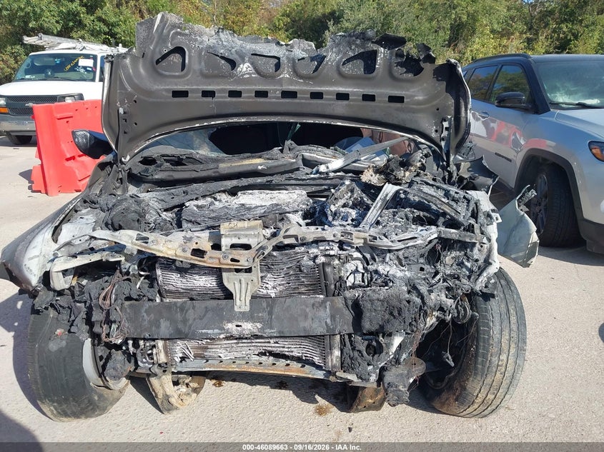 lot image 4