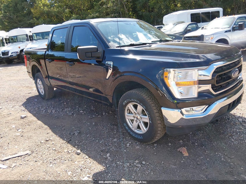 Vin: 1ftew1ep2mfb38402, lot: 46591793, ford f-150 xlt 2021 img_1