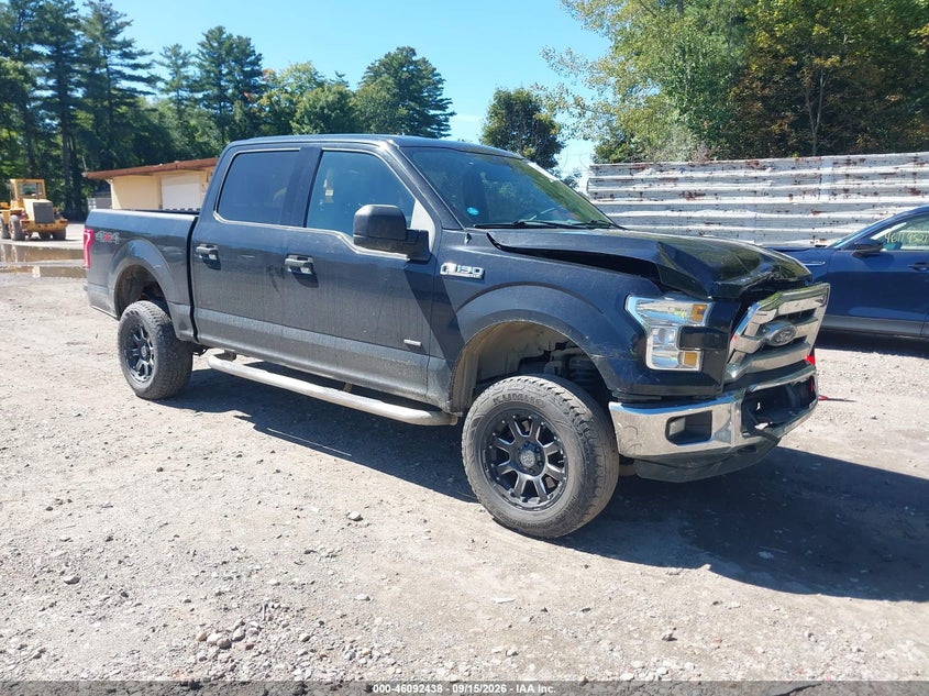 Vin: 1ftew1eg8ffb70810, lot: 46592046, ford f-150 xlt 2015 img_1