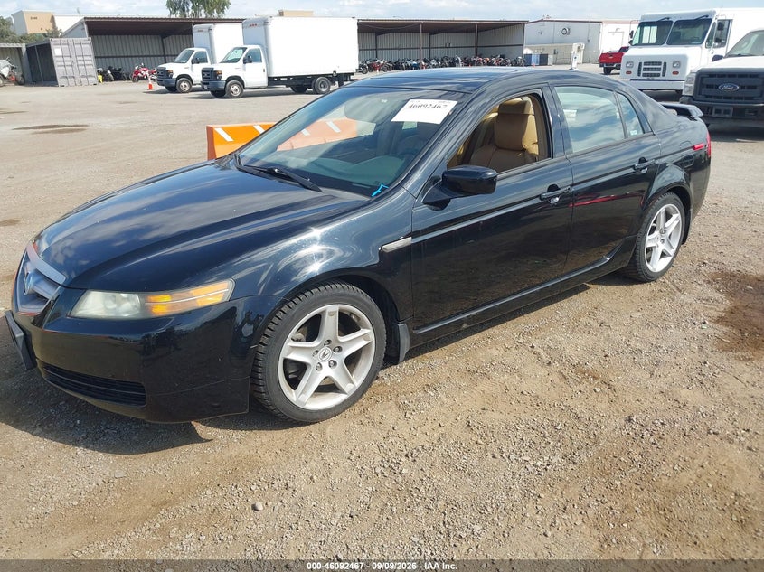 ACURA TL 2006 VIN 19UUA66296A045162