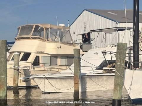 1989 LUHRS TOURNAMENT 320 auction photo 2
