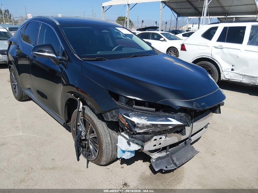 Vin: 2t2adcaz7rc013477, lot: 46593384, lexus nx 250 2024 img_1