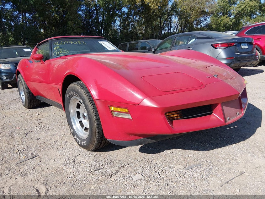 1981 CHEVROLET CORVETTE auction photo 1