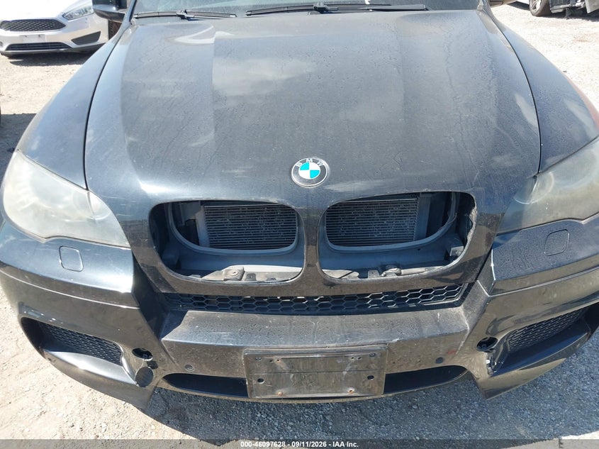 2010 BMW X5 M auction photo 6