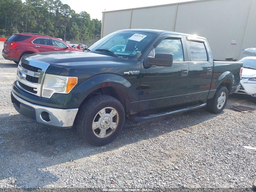 Vin: 1ftew1cm1efb03490, lot: 46597334, ford f-150 xlt 20142