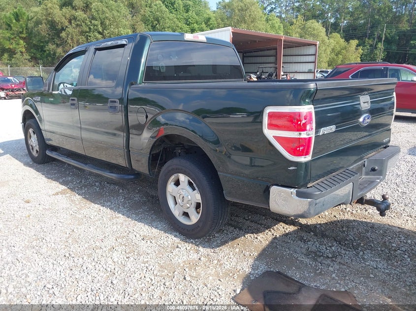 Vin: 1ftew1cm1efb03490, lot: 46597334, ford f-150 xlt 20143