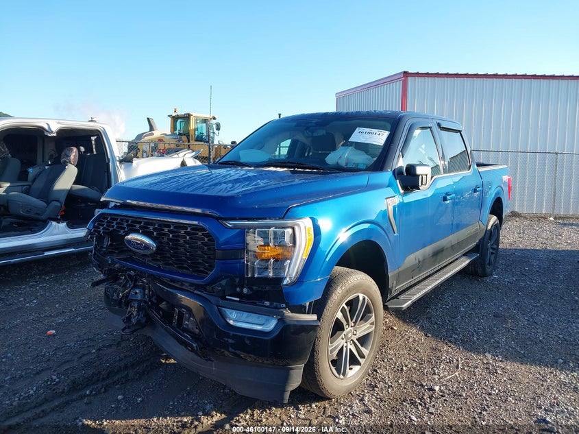 Vin: 1ftfw1e50pkf10608, lot: 46599805, ford f-150 xlt 20232