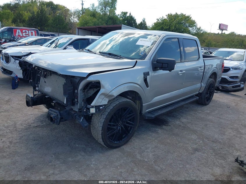 Vin: 1ftew3k54rkd43099, lot: 46601583, ford f-150 xlt 20242