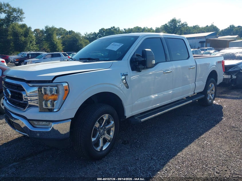 Vin: 1ftfw1e87pfa52133, lot: 46601784, ford f-150 xlt 20232