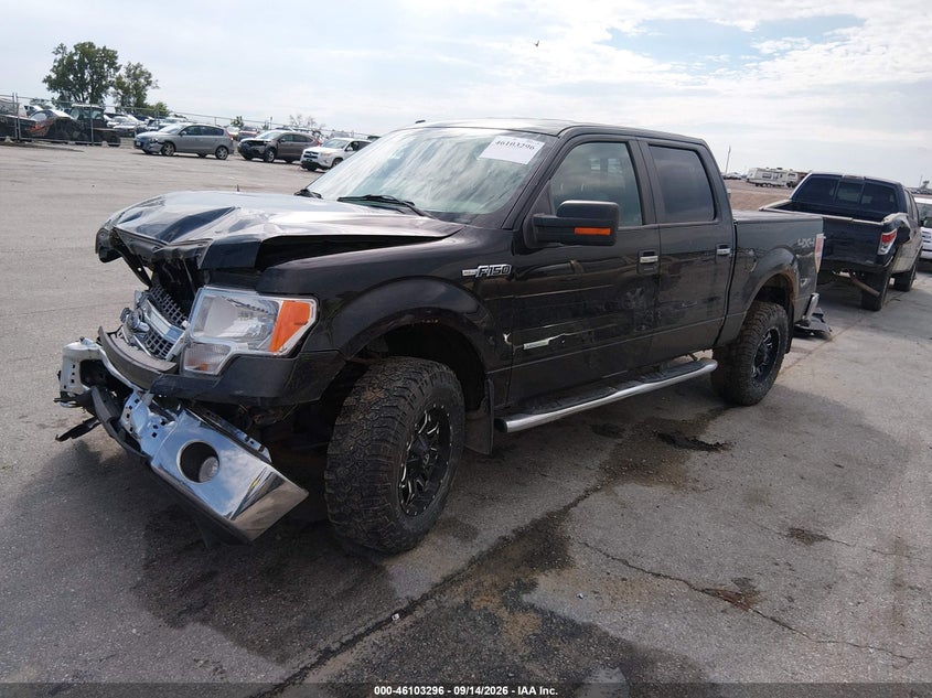 Vin: 1ftfw1et9ekd60249, lot: 46602954, ford f-150 xlt 20142
