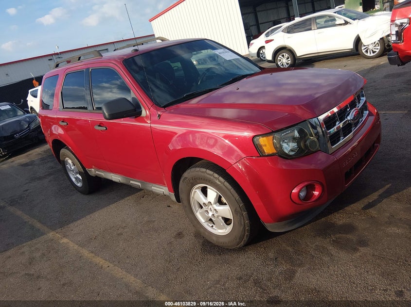 Vin: 1fmcu0d73bkb47473, lot: 46603487, ford escape xlt 2011 img_1