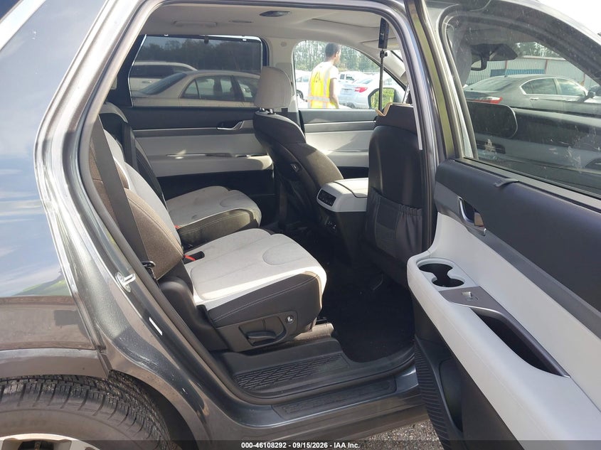 HYUNDAI PALISADE 2020 VIN KM8R34HE4LU169176