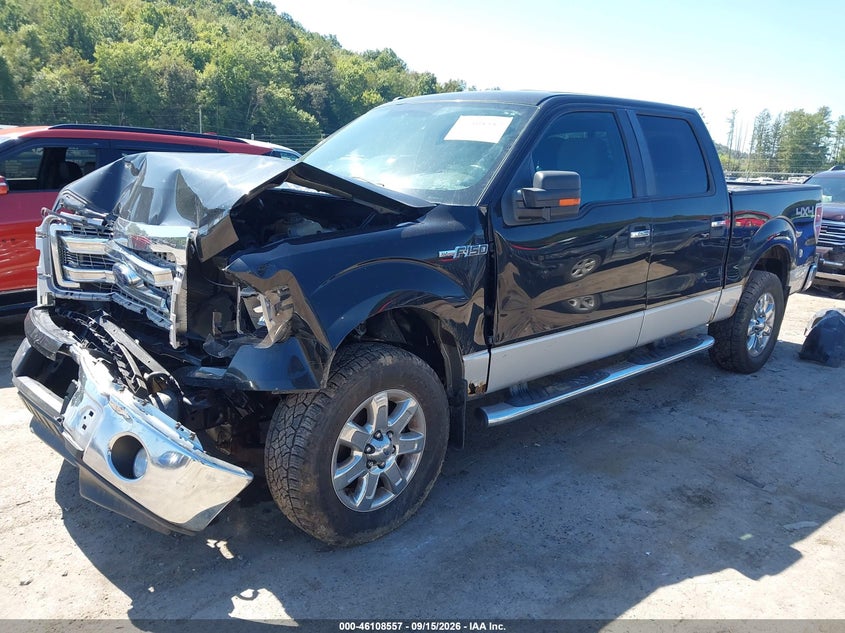 Vin: 1ftfw1ef4dfc78303, lot: 46608273, ford f-150 xlt 20132
