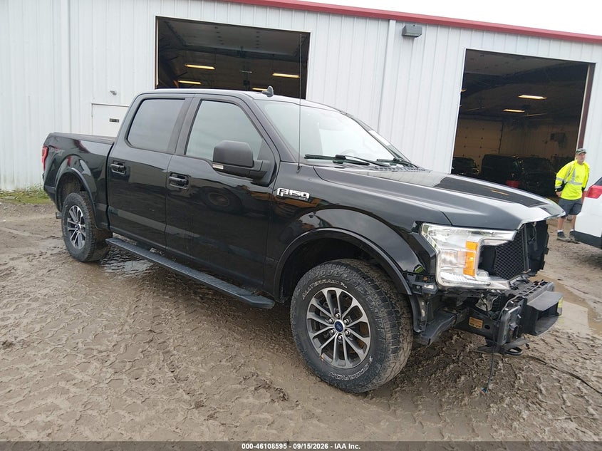 Vin: 1ftew1ep4kfc44931, lot: 46608311, ford f-150 xlt 2019 img_1