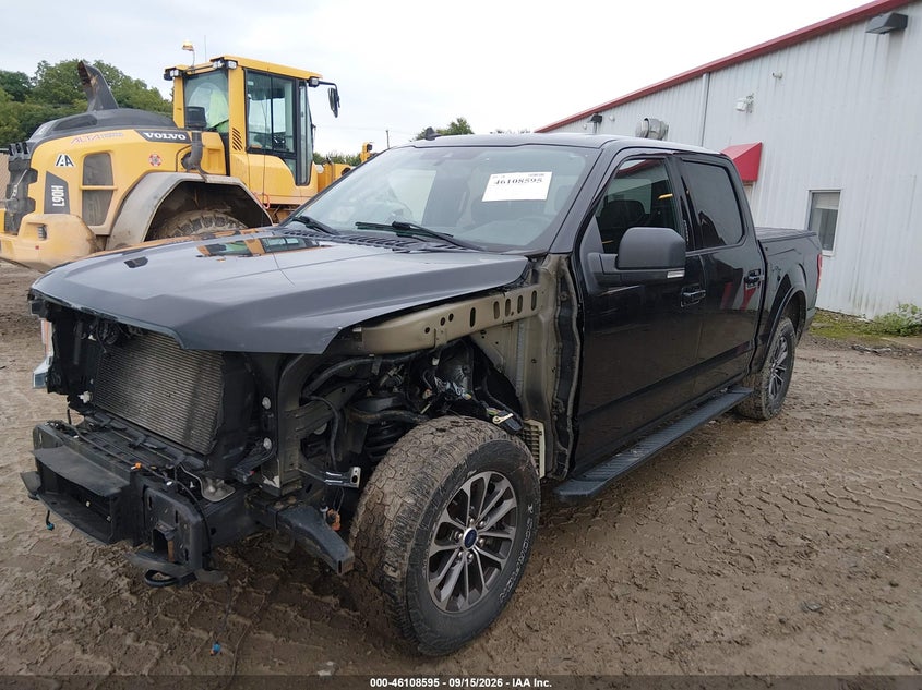 Vin: 1ftew1ep4kfc44931, lot: 46608311, ford f-150 xlt 20192