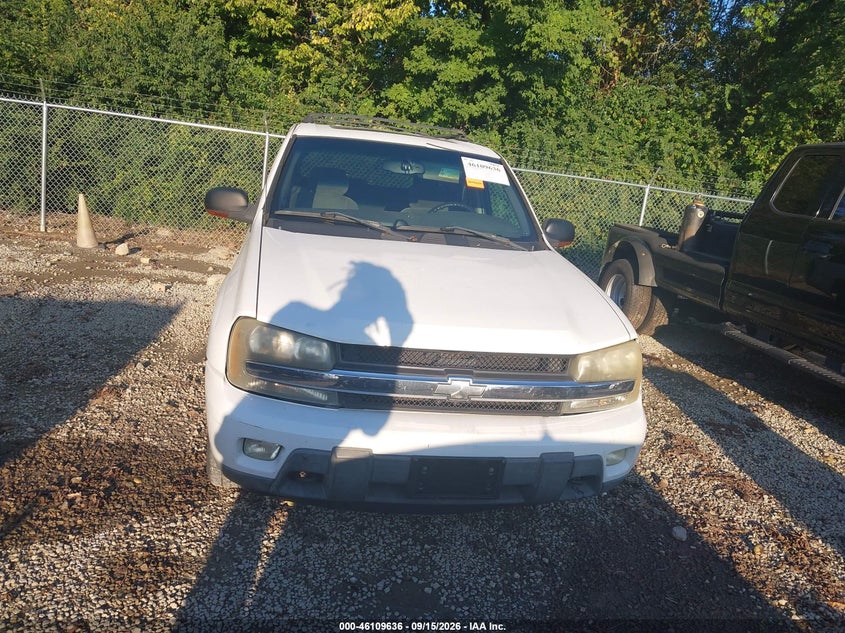 CHEVROLET TRAILBLAZER 2003 VIN 1GNDT13S032360767