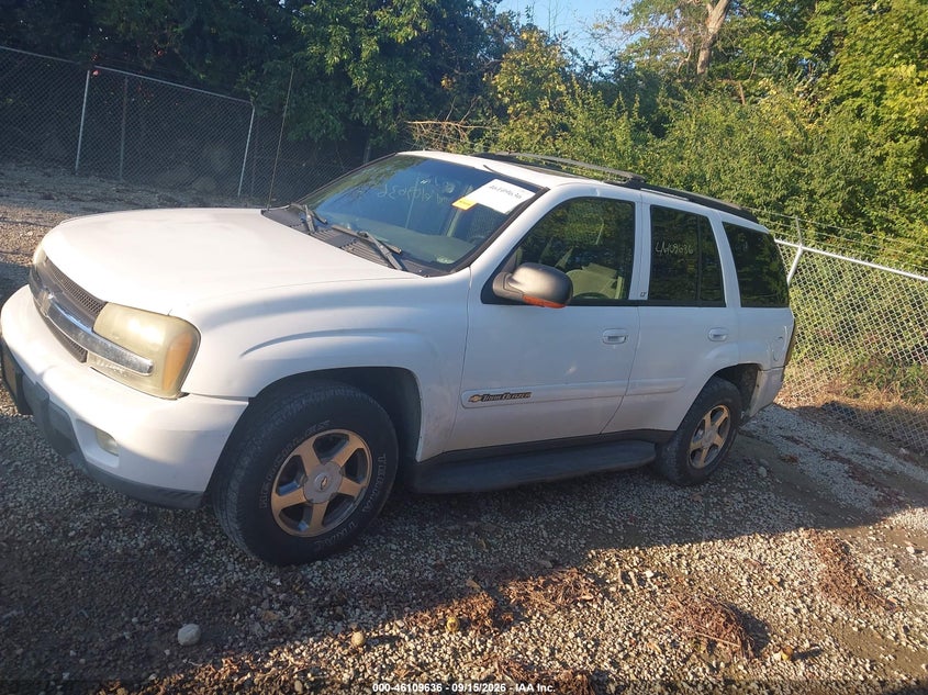CHEVROLET TRAILBLAZER 2003 VIN 1GNDT13S032360767