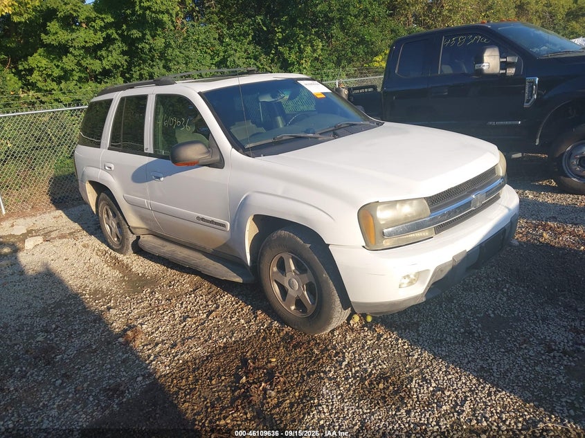 CHEVROLET TRAILBLAZER 2003 VIN 1GNDT13S032360767