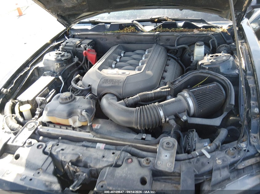2014 FORD MUSTANG GT · Фото 10