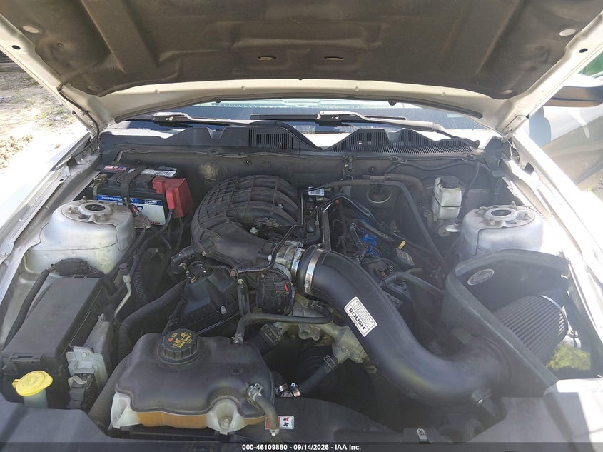 FORD MUSTANG 2014 VIN 1ZVBP8AM1E5223840