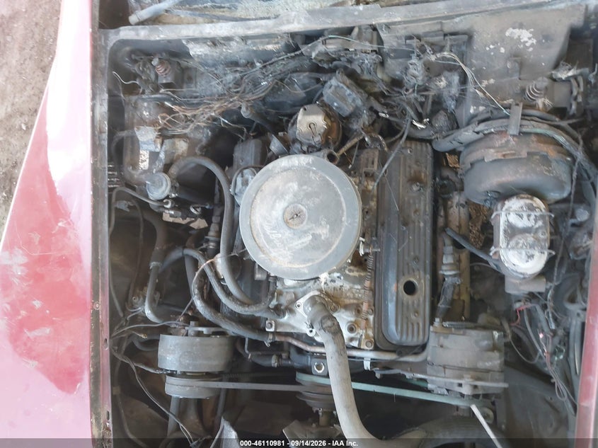 CHEVROLET CORVETTE 1982 VIN 1G1AY8786C5100370