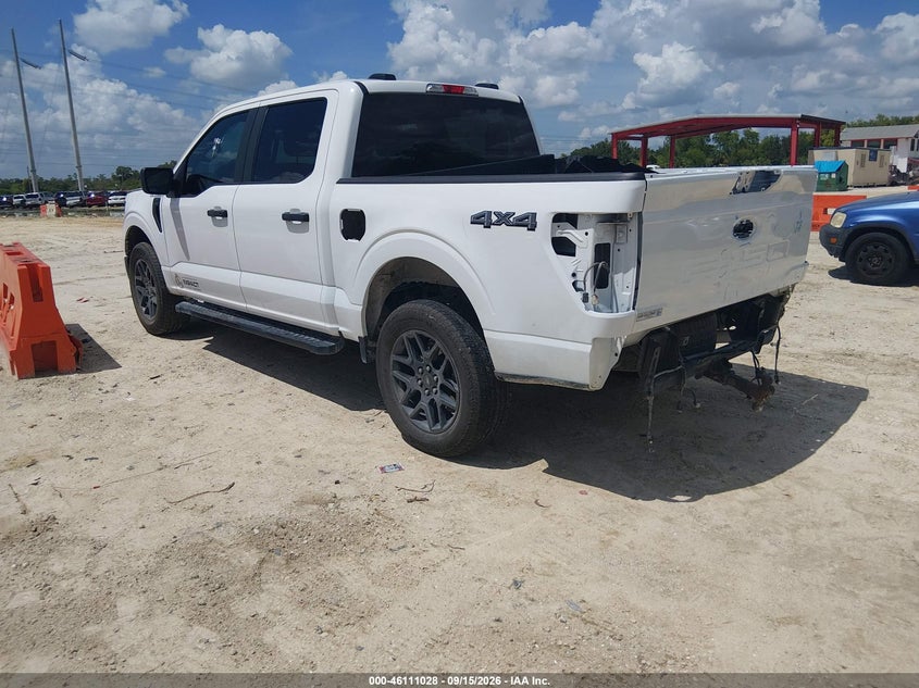 Vin: 1ftew2lpxske10708, lot: 46610744, ford f-150 stx 20253