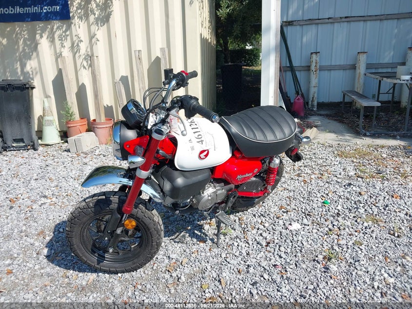HONDA Z125 2025