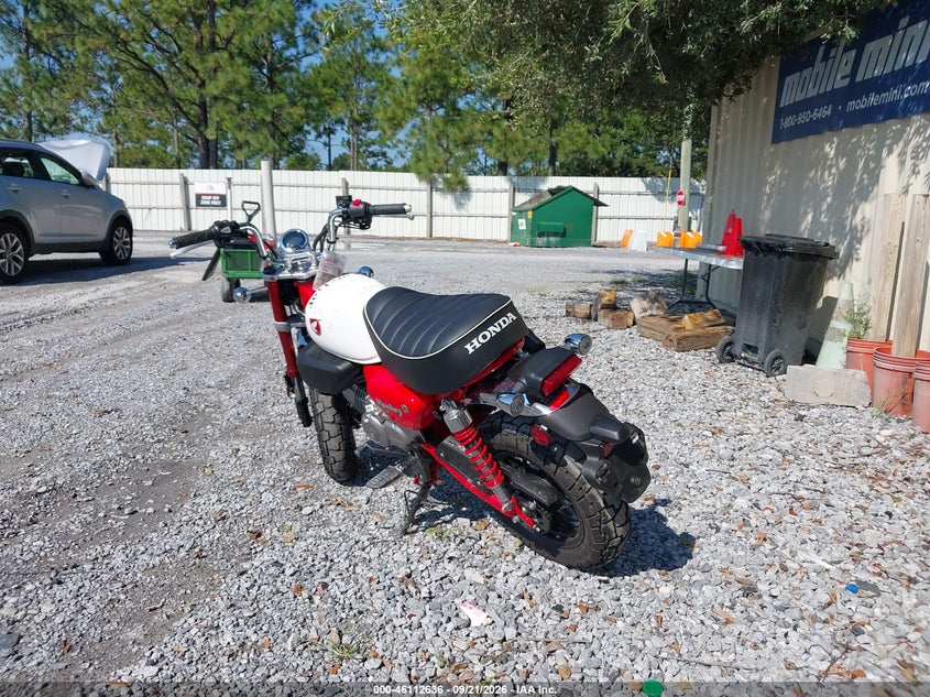 HONDA Z125 2025