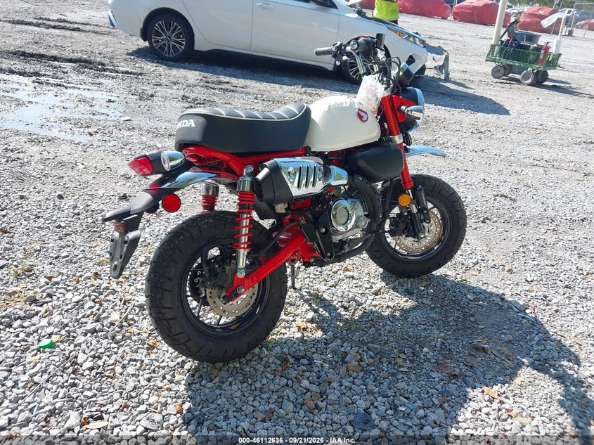 HONDA Z125 2025