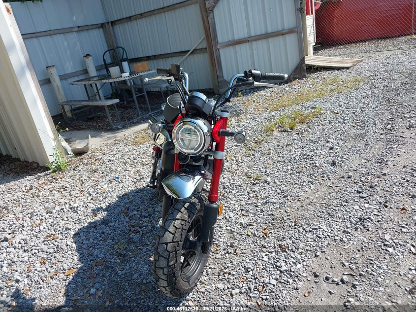 HONDA Z125 2025