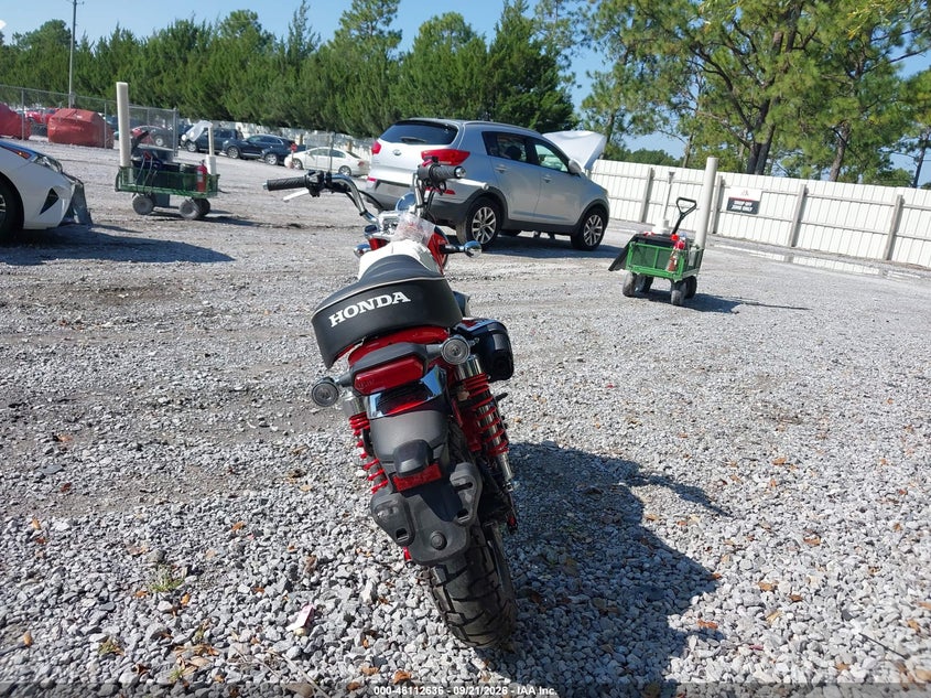 HONDA Z125 2025