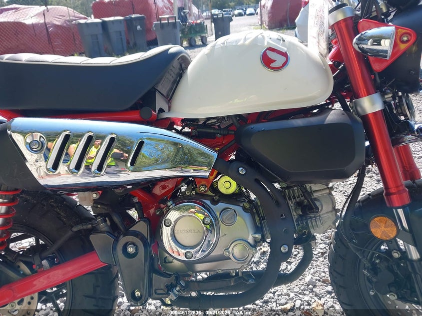 HONDA Z125 2025