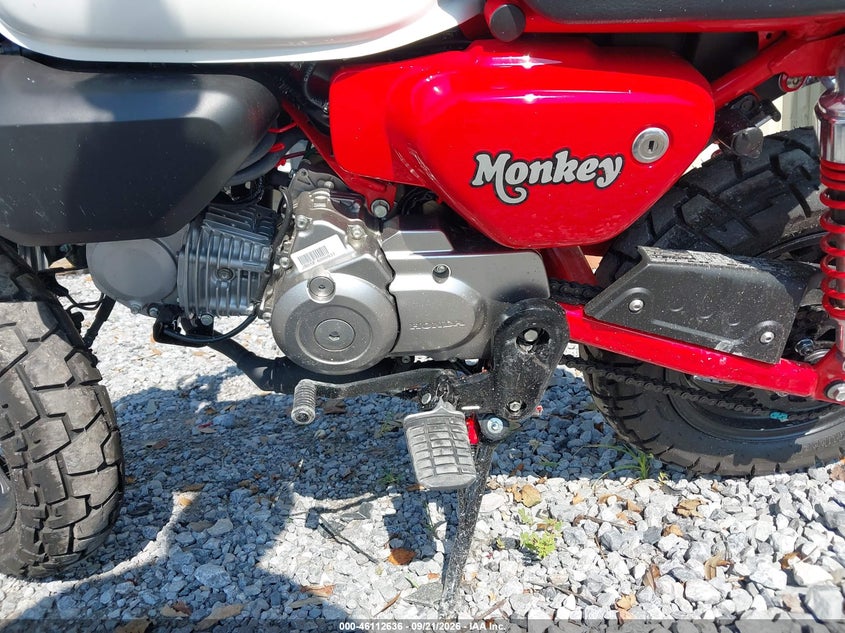 HONDA Z125 2025