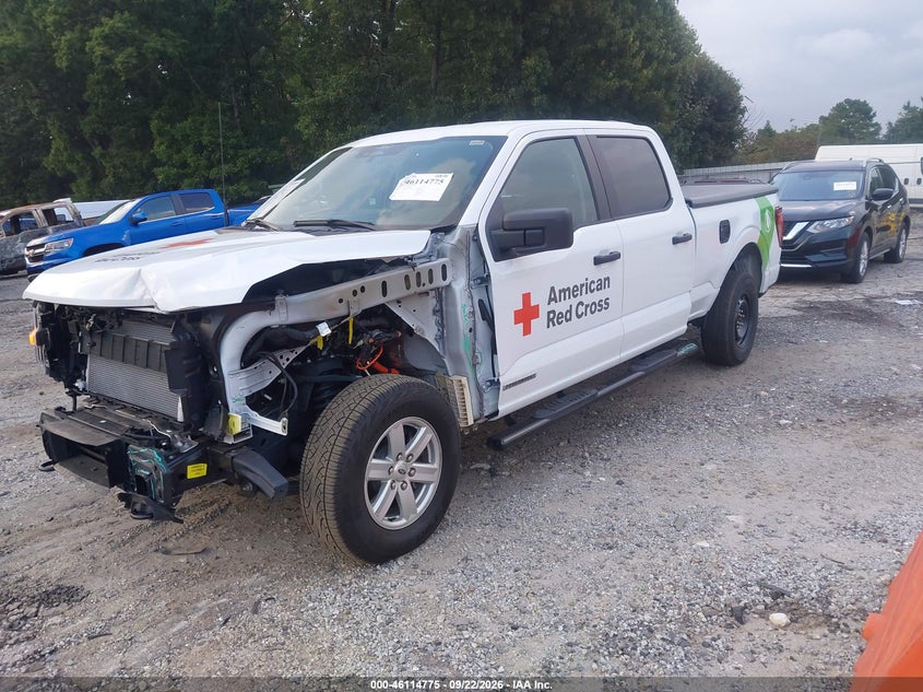Vin: 1ftfw1fd9rfb98788, lot: 46614491, ford f-150 xl hybrid 20242