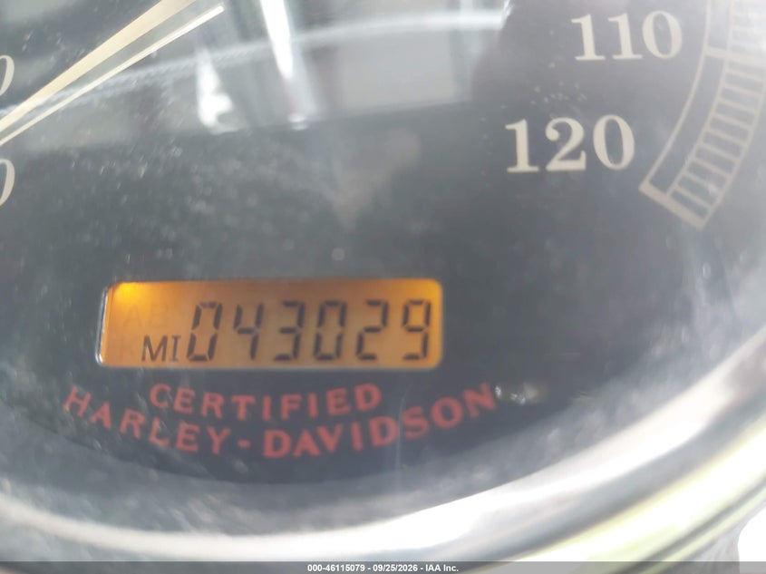 HARLEY-DAVIDSON FXDWGI 2004