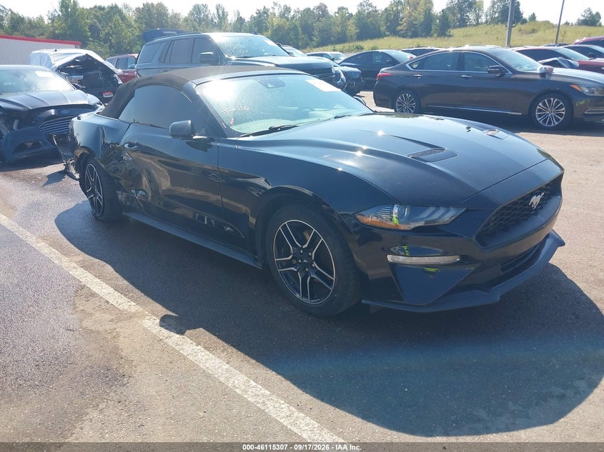FORD MUSTANG - zdjęcie 1