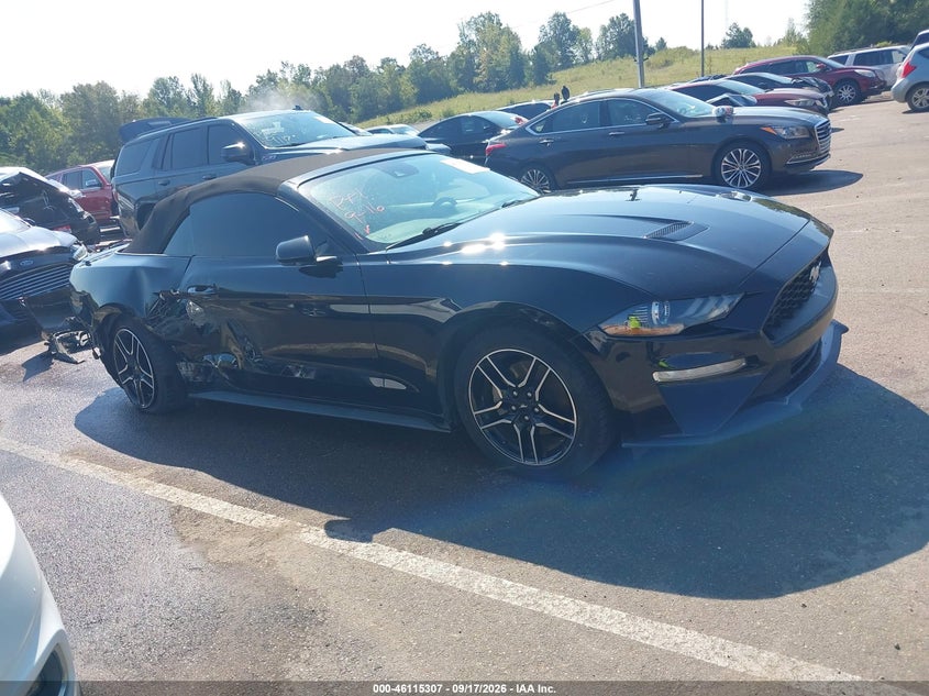 FORD MUSTANG - zdjęcie 14
