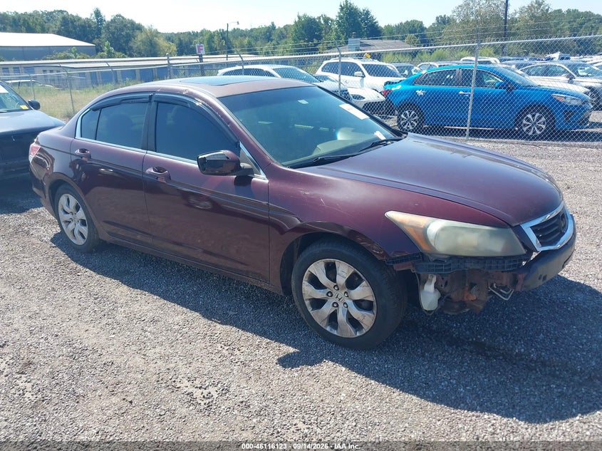 2009 HONDA ACCORD auction photo 1