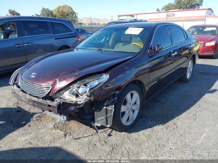 LEXUS ES 330 2005 VIN JTHBA30G055059658
