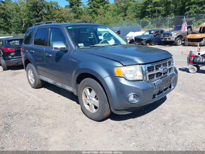 Vin: 1fmcu9d77akb95500, lot: 46617404, ford escape xlt 2010 img_1
