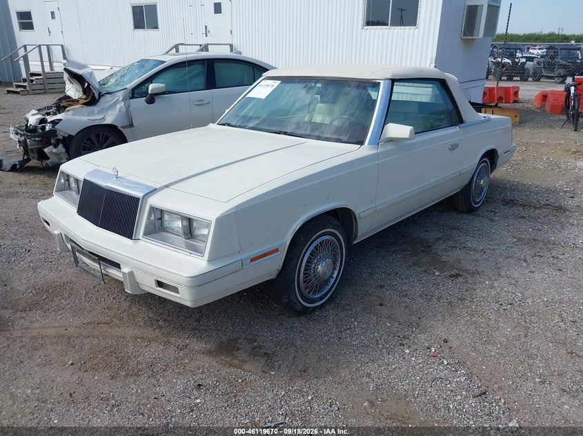 1984 Chrysler Lebaron, Обычный износ, IAAI, VIN 1C3BC55G2EG260101 — фото 2