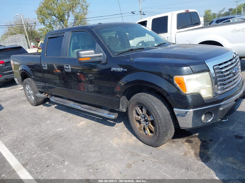 Vin: 1ftfw1ev6afd76686, lot: 46620533, ford f-150 fx4/harley-davidson/king ranch/lariat/platinum/xl/xlt 2010 img_1