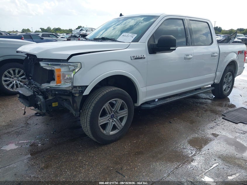 Vin: 1ftew1e45kkd70437, lot: 46621494, ford f-150 xlt 20192