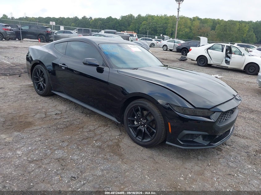 Vin: 1fa6p8th9r5146201, lot: 46624215, ford mustang ecoboost fastback 2024 img_1