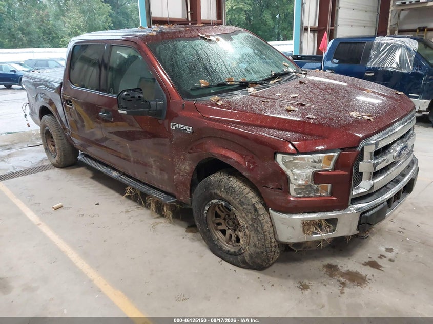 Vin: 1ftew1e86gfb14262, lot: 46624870, ford f-150 xlt 2016 img_1